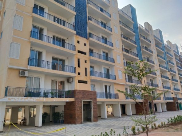 3 bhk flat for sale in beliston avenue